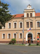 Nepomyšl